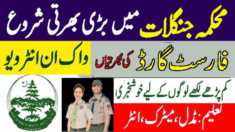 Forest Department KPK New Jobs