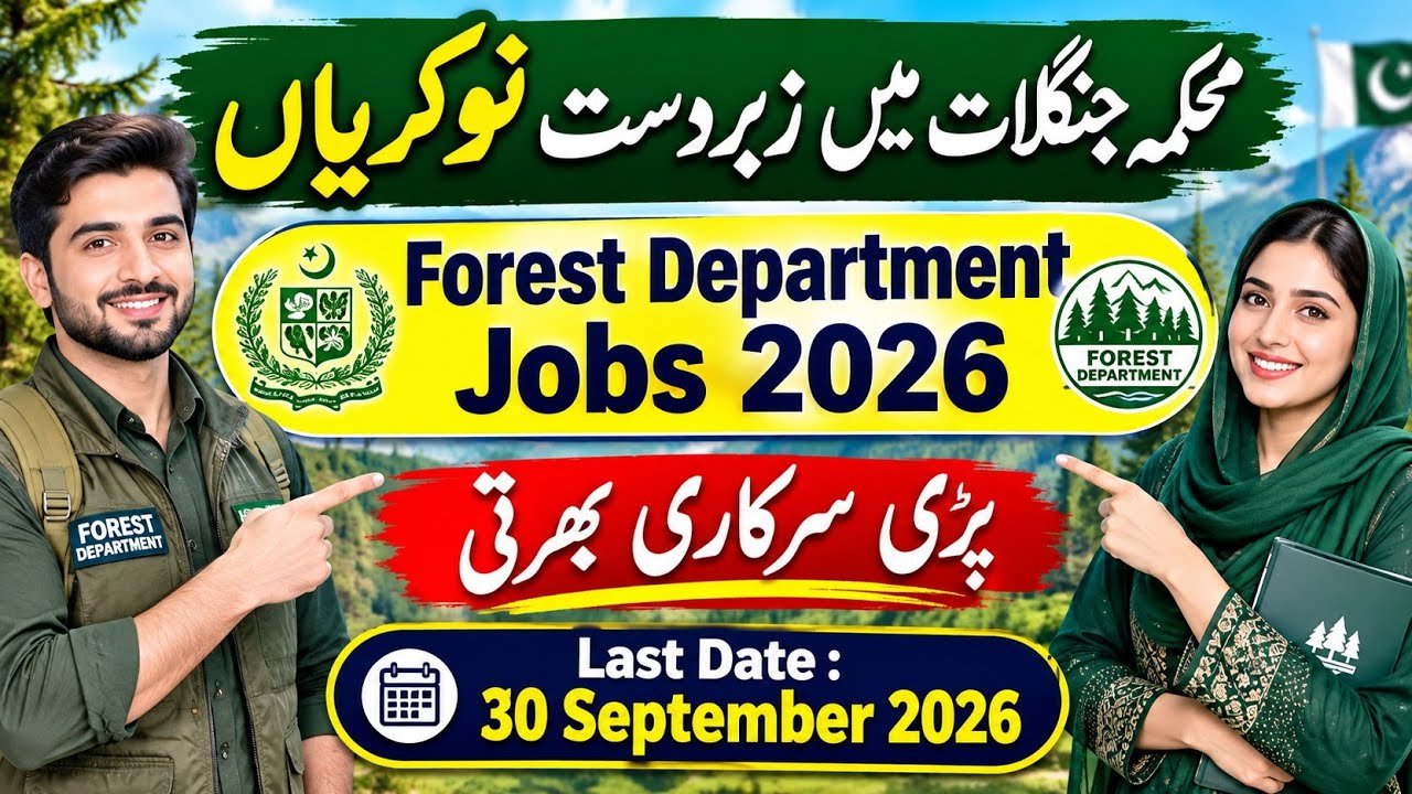 Forest Department Punjab New Jobs