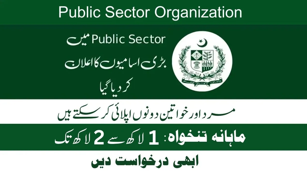 Public Sector Organization New Jobs