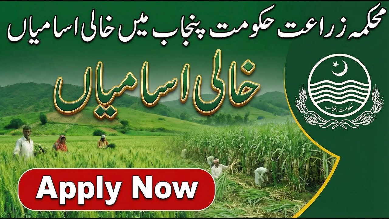 Agriculture Department Punjab Jobs