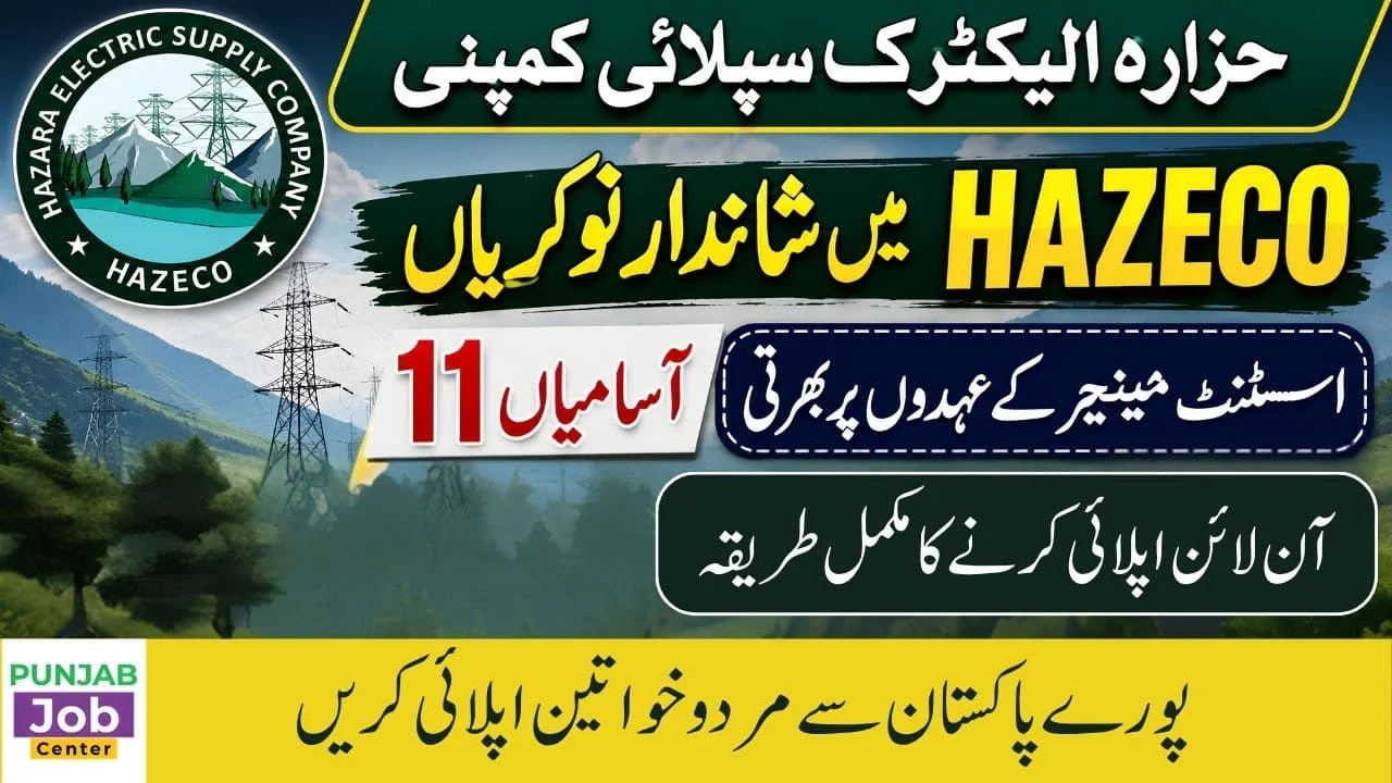 Hazara Electric Supply Company HAZECO Jobs