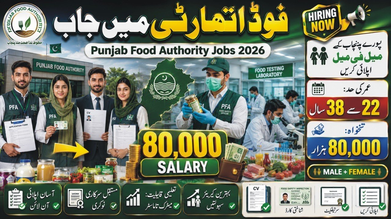 Punjab Food Authority Jobs