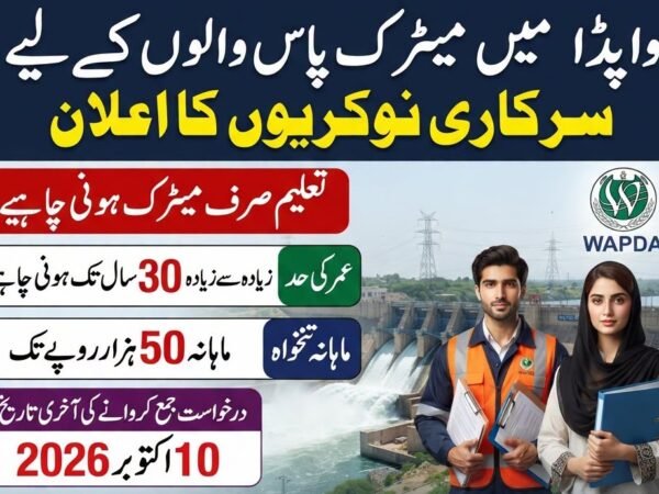 WAPDA Lady Searcher Jobs